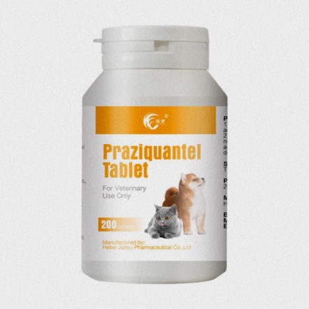 praziquantel